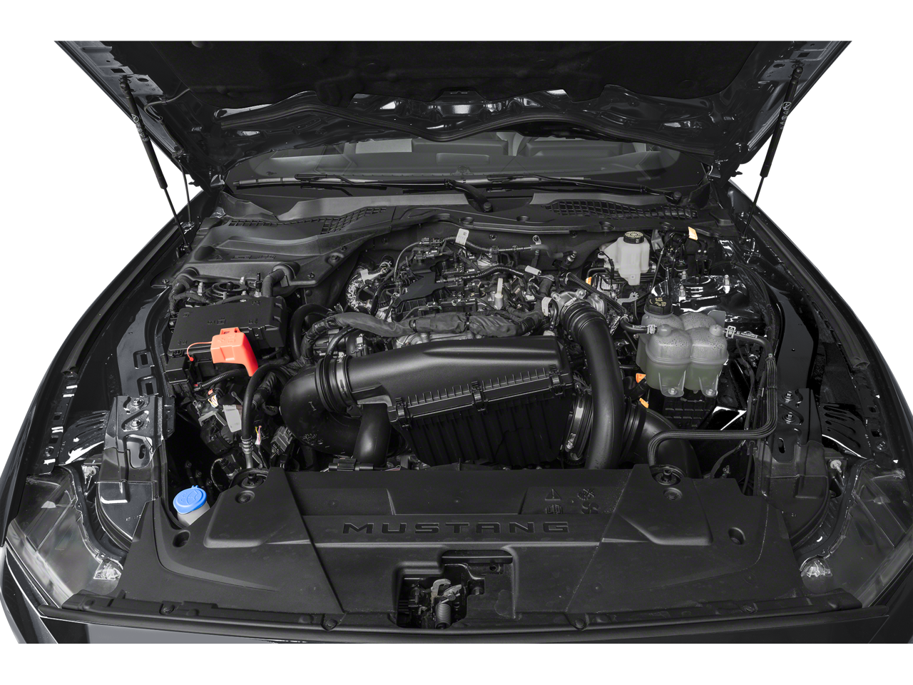 2025 Ford Mustang EcoBoost Fastback