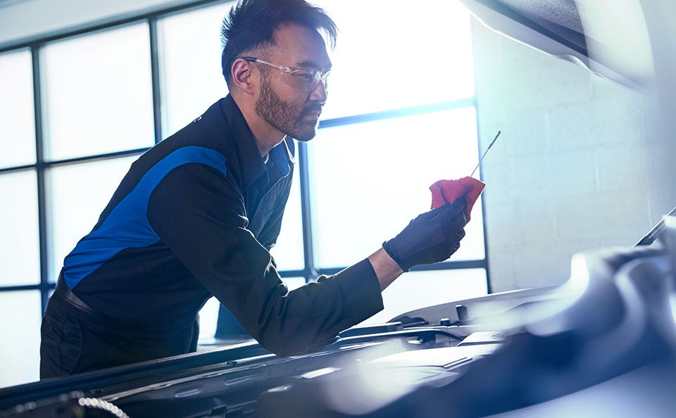 A technician inspecting engine oil levels on a dipstick.